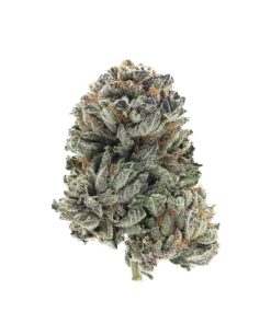 Berry Kush1