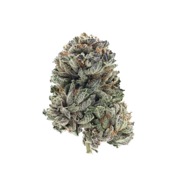 Berry Kush1