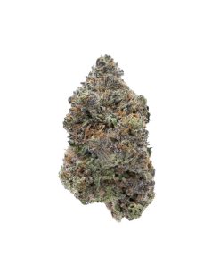 Alternative view of Himalayan Blackberry Indica Deadhead Chemist