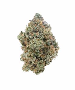 Alternative view of Hindu Tuna Indica Deadhead Chemist