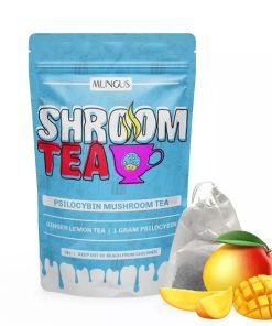 Mango Shroom Tea 1 Gram