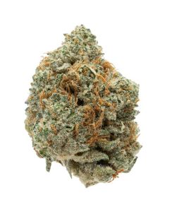 Moby Diesel 2