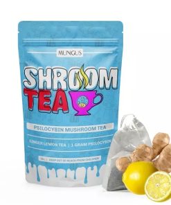 Mungus Ginger Lemon Shroom Tea 1 Gram