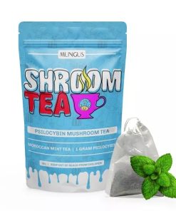 Mungus Moroccan Mint Shroom Tea | 1 GRAM