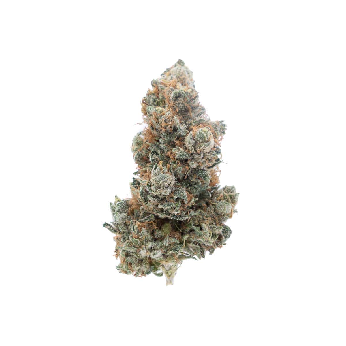 Silver Haze 1