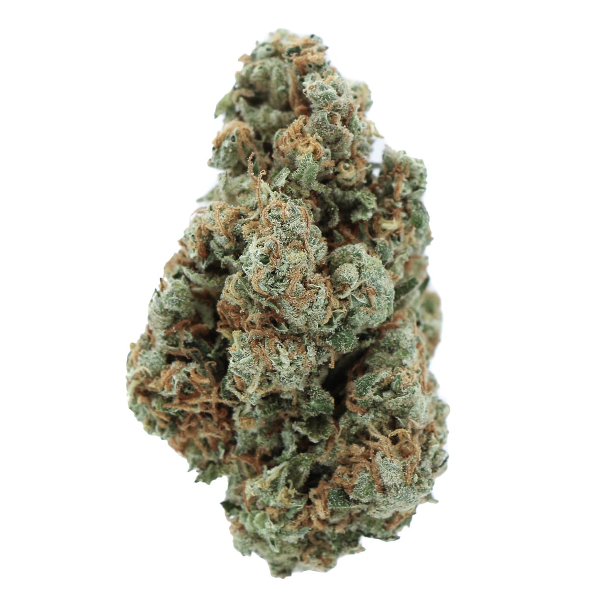 Sour Amnesia Sativa Deadhead Chemist