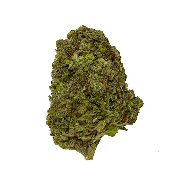 Sour Tangie Sativa