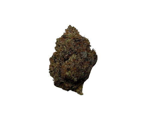 Lemon Hazen Sativa