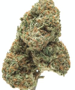 Kali Mist sativa