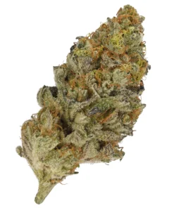 sour joker sativa