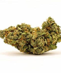 critical kush cheap bud indica