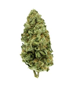 incredible hulk sativa