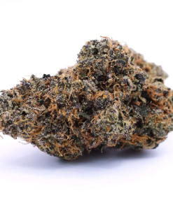 rootbeer sativa