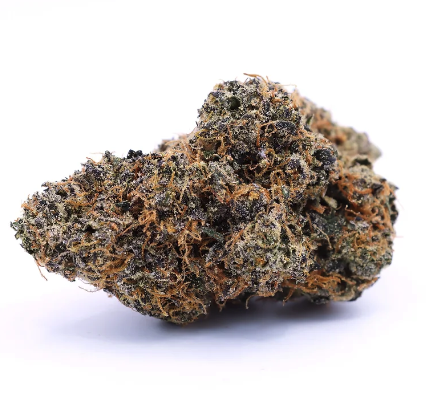 rootbeer sativa
