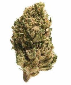Sour Diesel cheap bud Hybrid 28G