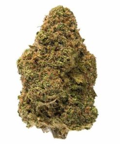 White Widow Hybrid 28G